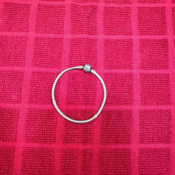 Pandora Jewelry - Pandora Silver Snake Chain Bracelet